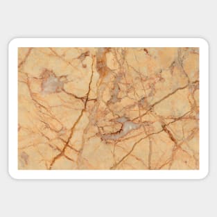 Antique Marble Pattern Texture Design Sticker